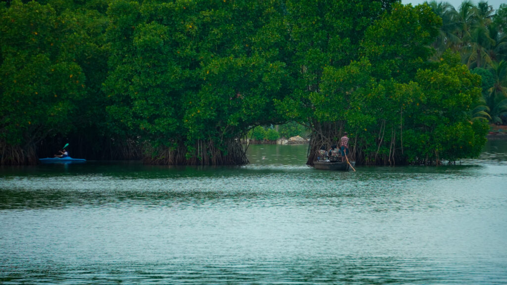 Munroe island - Best attractions near Hotel viraj retreat