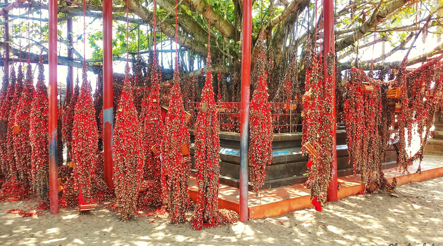 attractions near by Hotel viraj retreat