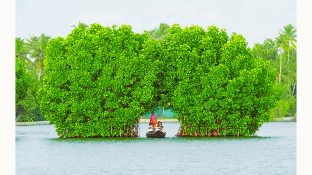 munroe island-near hotel viraj retreat